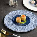 Axyaa Ceramic Dining Plate Set for Molecular Cuisine Display and Restaurant Steak
