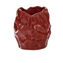 Axyaa Highend Ceramic Vases & Flower Arrangements for Living Rooms