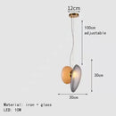 Axyaa Nordic Glass Chandelier LED Pendant Lamp for Home Decor