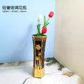 Axyaa Nordic Glass Vase: Light Luxury Hydroponic Utensil for Living Room Flower Arrangement