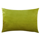Axyaa Velvet Cushion Cover: Nordic Style Home Decor, Super Soft & Luxurious.