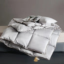 Axyaa Winter Quilt Core - Thickened, Warm, Single, Student Dormitory, Four Seasons