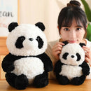 Axyaa Panda Pillow Cushion for Girls' Bed Comfort