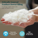 Axyaa Feather & Down Comforter, Organic Duvet Insert, All Season Warm