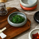 Axyaa Ceramic Sauce Plate Set - Japanese Style Coarse Pottery Small Dish