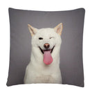 Axyaa Dog Art Print Polyester Cushion Cover for Home Sofa Car Decor