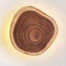 Axyaa Solid Wood Wall Lamp: Mid Ancient Japanese Wabi Sabi Style Designer Lighting Fixtures
