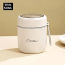 Axyaa Stainless Steel Thermal Lunch Box with Spoon - Double Layer Bento Box
