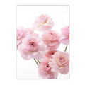 Axyaa Sakura Rose Peony Hot Air Balloon Wall Art Canvas Painting