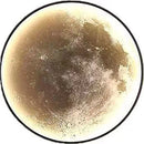 Axyaa Moon Wall Lamp Modern Simple Art Decoration for Living Room and Bedroom