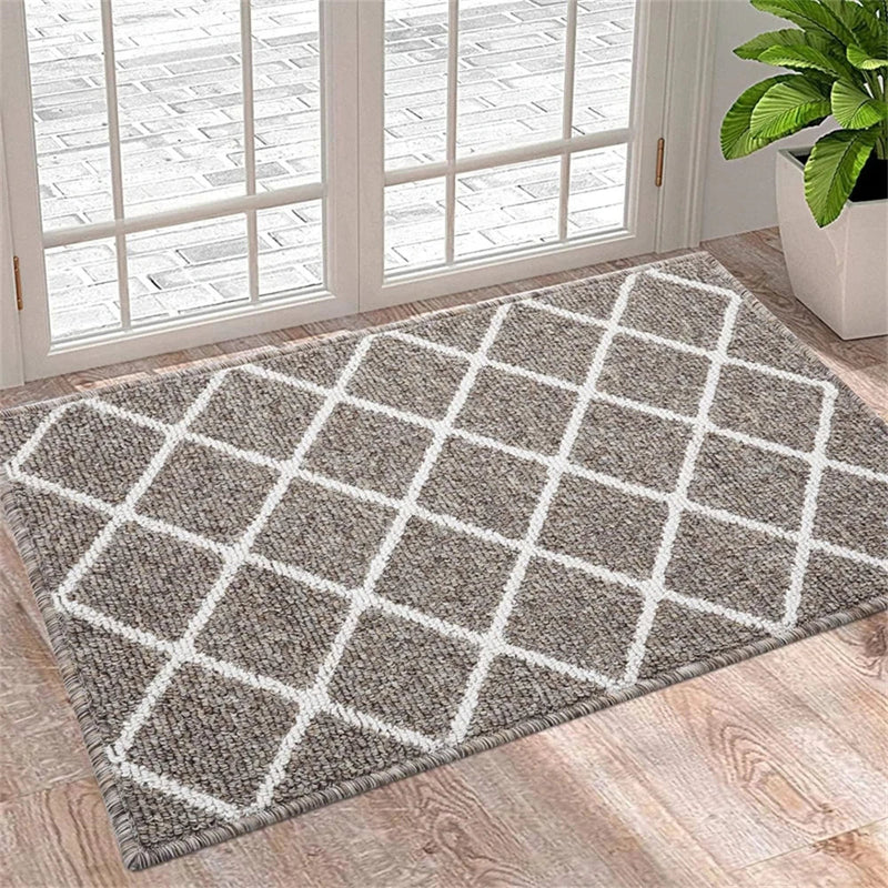 Axyaa Low-Pile Indoor Entrance Mat: Absorbent, Non-Slip & Washable Entry Rug