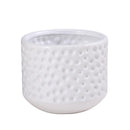 Axyaa Gold Ceramic Succulent Flowerpot Vase Balcony Decor Plant Pots