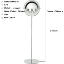 Axyaa Nordic Metal Floor Lamp | Bedroom Study Gold Chrome Black Iron Standing Light