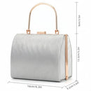 Axyaa Silver Striped Evening Bag Handbag with Chain Crossbody