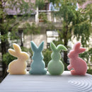 Axyaa Rabbit Silicone Mold | 3D Animal Candle Making DIY | Easter Gift & Home Decor
