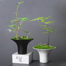 Axyaa Open Floral Arrangement Ceramic Flower Pot for Plant Accessories