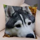 Siberian Husky Pillowcase - Axyaa Animal Cushion Cover, Decor, Cute, Dog Print