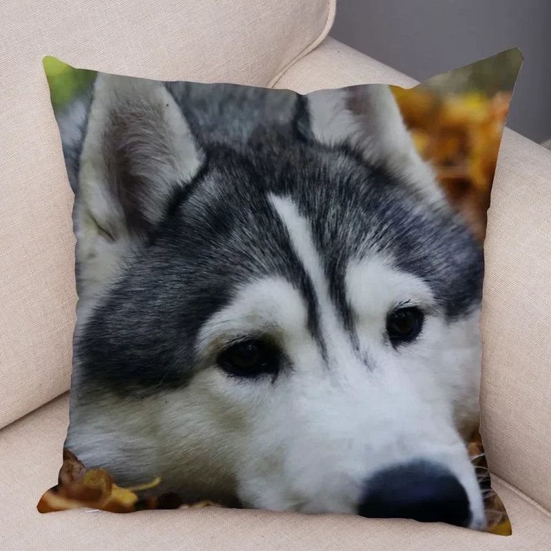 Siberian Husky Pillowcase - Axyaa Animal Cushion Cover, Decor, Cute, Dog Print