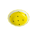 Axyaa 5.5-Inch Ceramic Pet Bowl for Cat and Dog Feeding