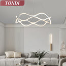 Axyaa Nordic LED Chandelier for Living & Dining Room, Irregular Ceiling Lighting & Decoration