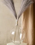 Axyaa Tall Glass Vase for Pampas Grass, Modern Floor Decor for Living Room