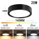 Axyaa 25W LED Downlight Ceiling Light Three Color Spotlights Large Area Lighting