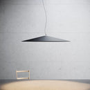 Axyaa Nordic Black LED Pendant Lights for Dining Room & Kitchen, Modern Art Decor Lusters