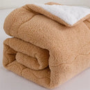 Axyaa Winter Lamb Wool Cotton Quilt – Double Thickened Warm Quilt Core