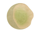 Axyaa Nordic Style Plush Living Room Rug: Soft, Fluffy, Irregular Shape for Bedroom & Home