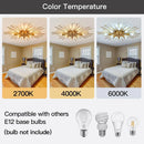 Axyaa Metal Gold LED Ceiling Chandelier for Kitchen, Bedroom, and Corridor