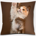 Cute Cat Series Pillowcase for Home Decor by Axyaa