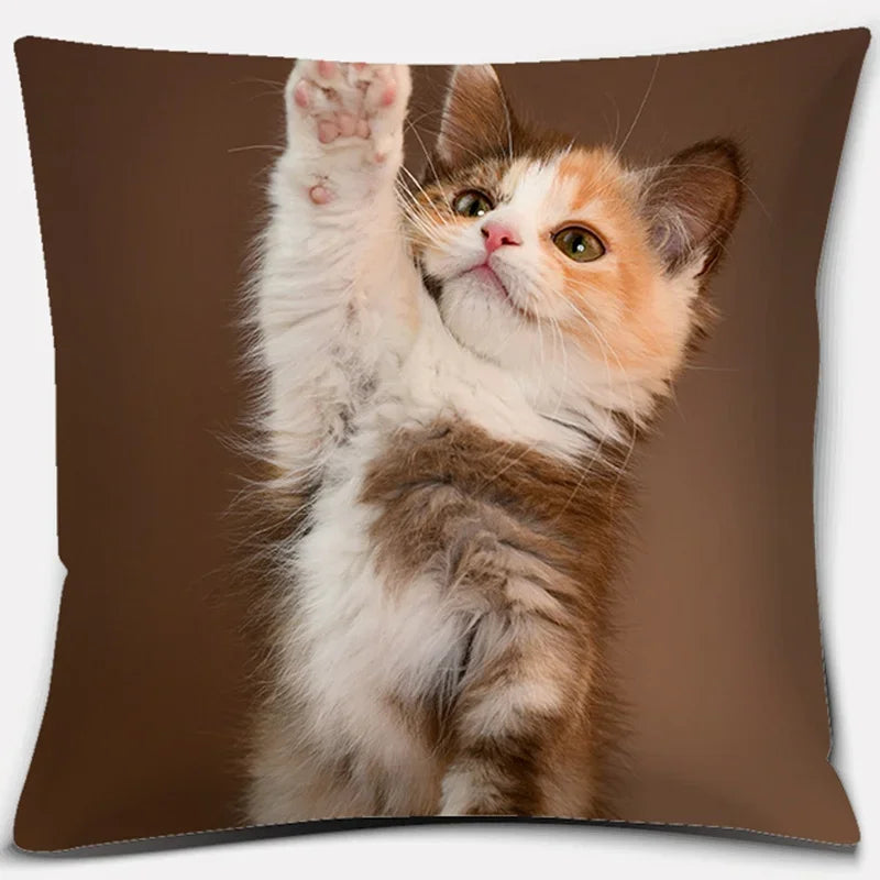 Cute Cat Series Pillowcase for Home Decor by Axyaa