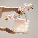 Axyaa Handbag Glass Vase - Home Decor Hydroponic Terrarium & Flower Pot