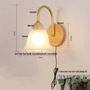 Axyaa Nordic Glass LED Wall Light Sconce with Pull Chain Switch