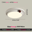 Axyaa Modern Minimalist LED Ceiling Light White Black House Lighting