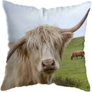 Axyaa Highland Cat Cow Yak Animal Pillowcase for Stylish Home Decor