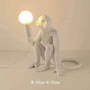 Axyaa Monkey Pendant Lamp: Hemp Rope Creative Wall Sconce Light