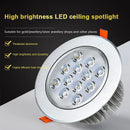 Axyaa Nordic LED Ceiling Light Fixture for Home Interior Decoration