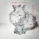 Axyaa Glass Vase Flower Arrangement Hydroponic Ornament Decor Craft Glass Vessel