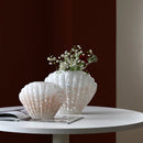 Axyaa Shell Glass Vase Whelk Scallop Floral Arrangement Terrarium Home Decoration