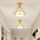 Axyaa Modern Industrial Loft Chandelier Lamp Shade for Home Kitchen Decor