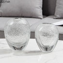 Axyaa Bubble Glass Vase Hydroponic Flower Pots Modern Home Decor