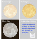 Axyaa Nordic Moon Pendant Lights - Elegant Home Chandelier for Living Room, Bedroom, or Dining Area