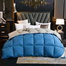 Axyaa Winter Goose Down Duvet Comforter for Single/Double Bed