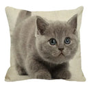 Axyaa British Shorthair Cat Pillow Cover 45X45cm Square Cushion