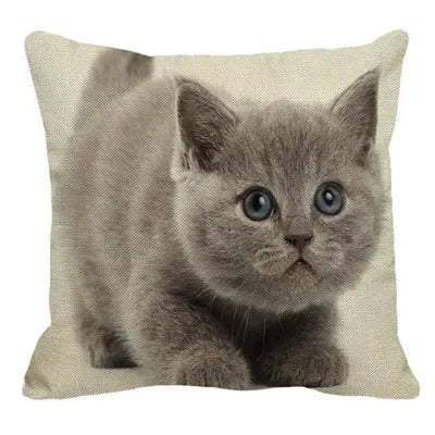 Axyaa British Shorthair Cat Pillow Cover 45X45cm Square Cushion