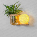 Axyaa Green Plant Wall Lamp with Pull Switch - Indoor Wood Sconces
