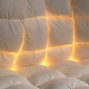 Axyaa 2024 3D Twisted Flower 95 White Goose Down Winter Quilt Core.