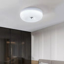 Axyaa Retro Glass LED Ceiling Lamp for Home Lighting