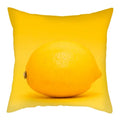 Axyaa Citrus Fruit Print Pillow Cover 45x45cm - Home Sofa Decor